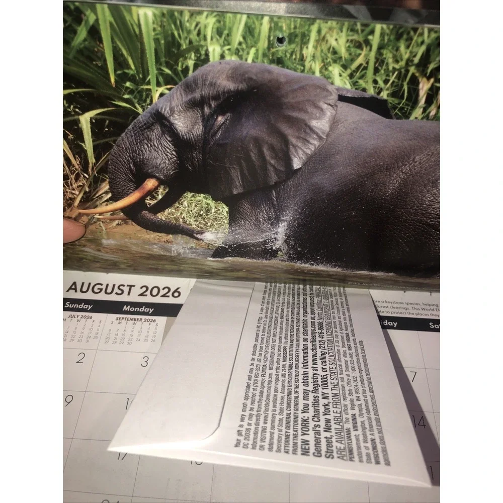Jane Goodall Institute Apes & Chimps - 2026 SMALL Wall Calendar 17 Months NEW
